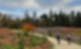 Cycling along the many cycle paths through the new forest and surrounding areas gets you truly at one with nature.
