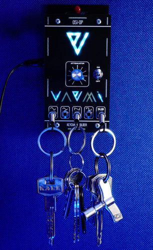 Keychain Holder | DIY or Assembled | Vaemi