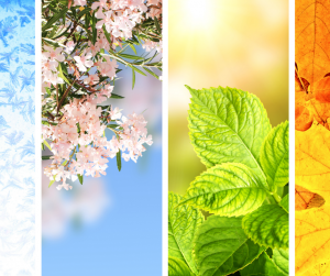 Weathering the Season