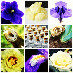 Основные ноты