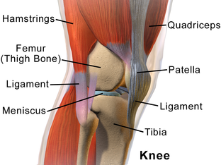 Knee Replacement Surgery in India- Joint      Clinic