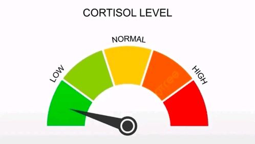 low cortisol meme
