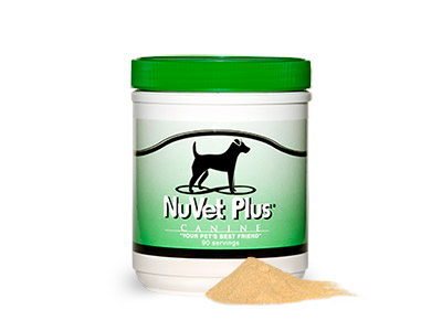 Immune support powder or wafer