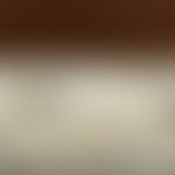 WE CAN SEE, HEAR AND WADDLE