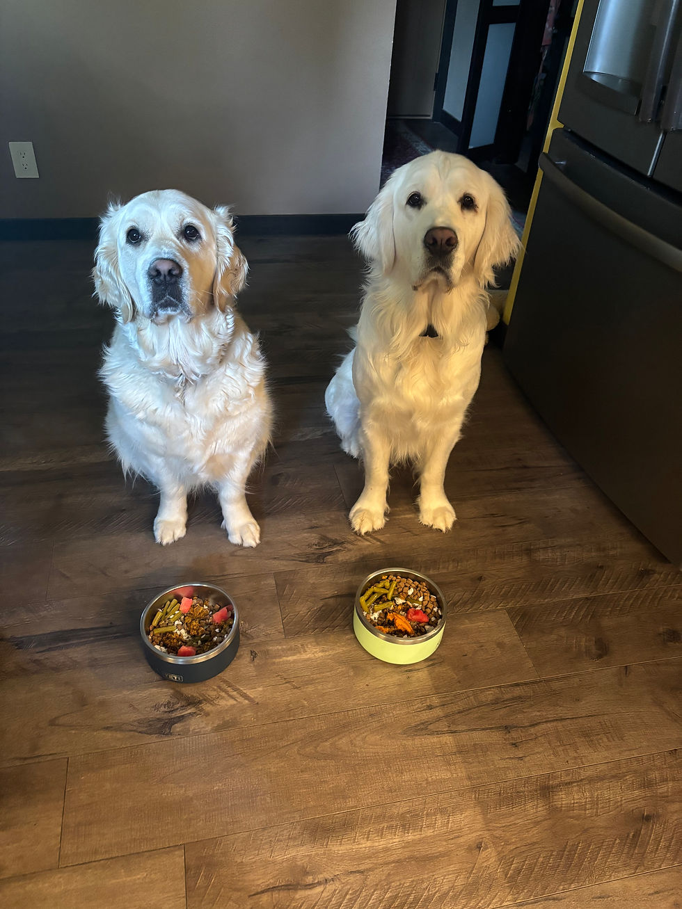 sit and wait.....say grace, drool and eat!!!