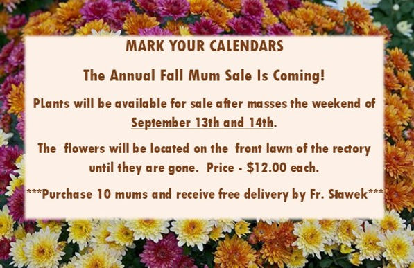 Annual Mum Sale.jpg