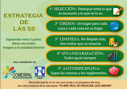 Las 5 s