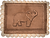 IMG_4320_edited.png
