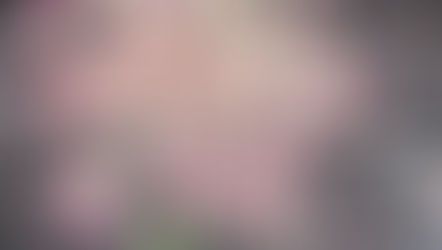 A Busy Weekend at BCC: Durham Garden Tour & Virtual Open House