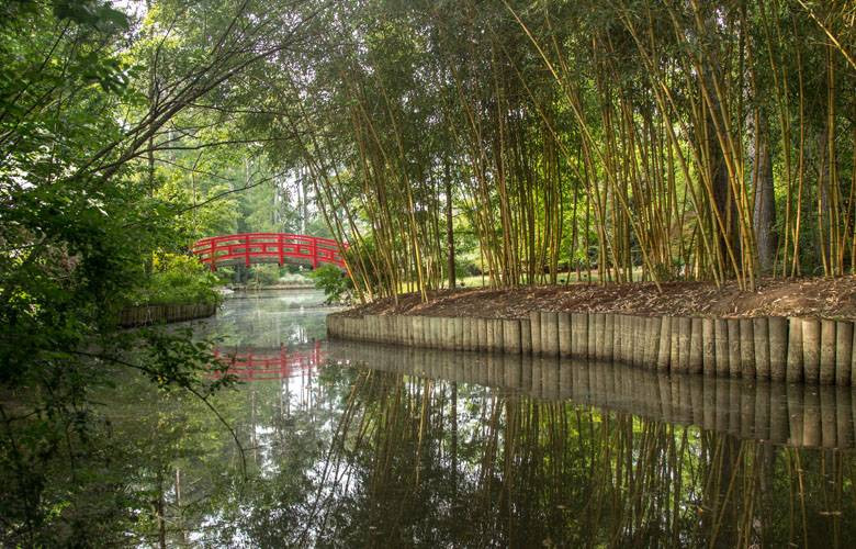 Asian Arboretum at Duke Gardens
