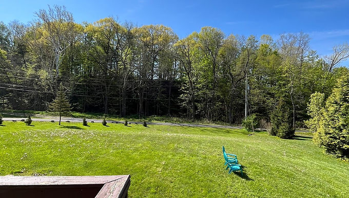 Wide lawn with an inflatable toy and a backdrop of mature trees