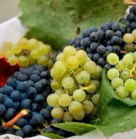 Grapes