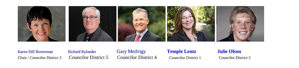 County Council.jpg
