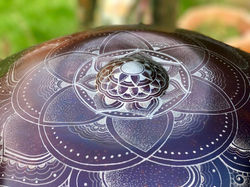 31301678_625152747877068_2473468616339619840_n