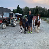 Martin mit den Schulponys