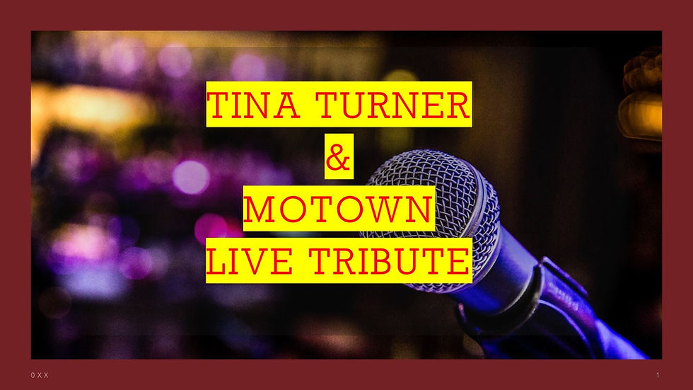 Tina Turner Live Tribute Thursday 16th December from 19:30 Free Show