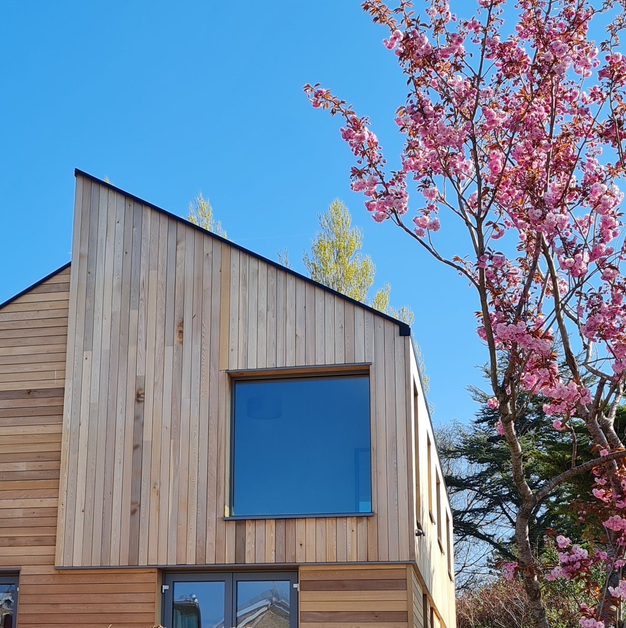 JMP Architects Ltd — architectural project photograph 5 from the business website
