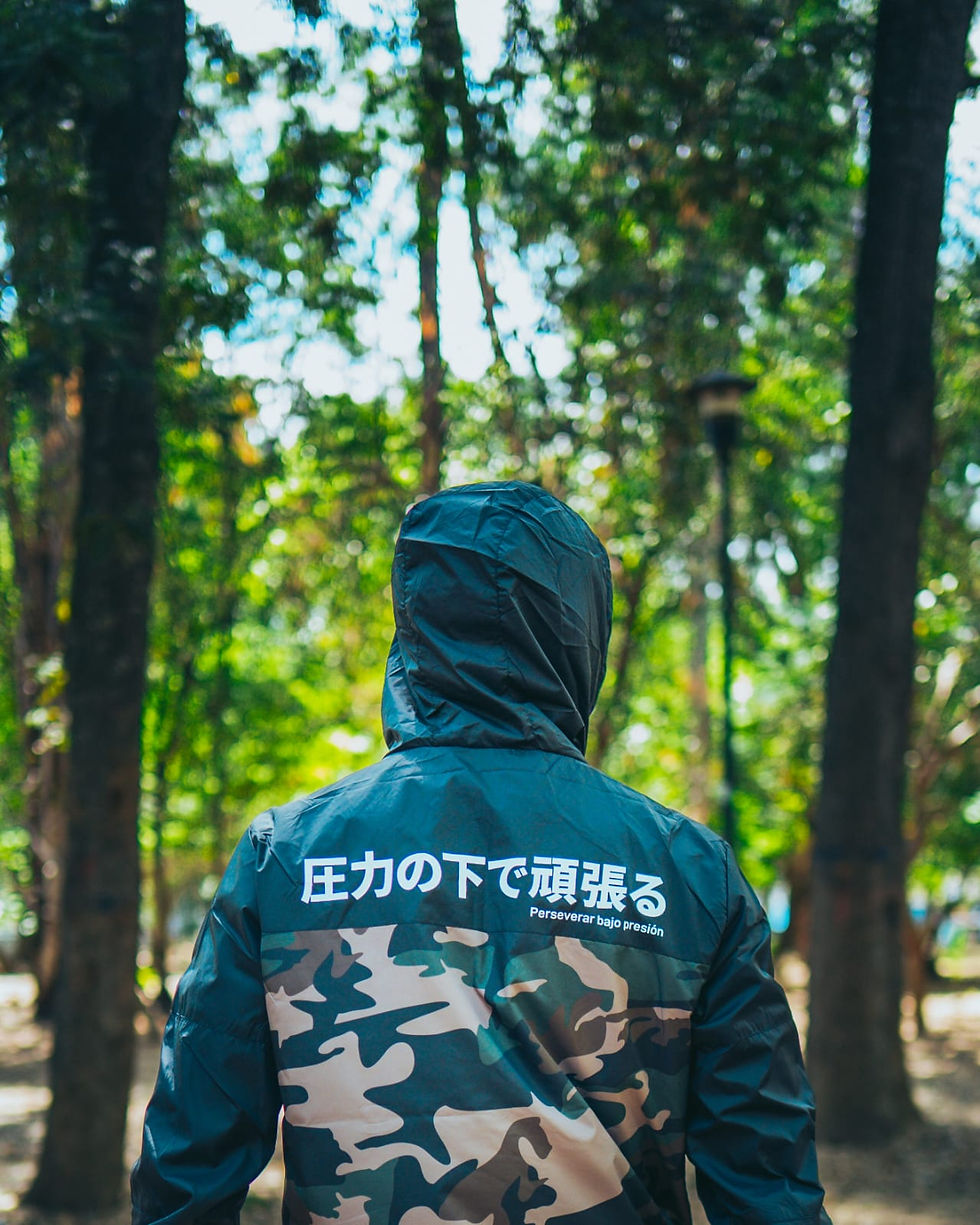 Miniatura: Rompe vientos cammo