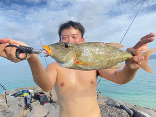 石垣島釣魚地點攻略2026|6個岸釣區域、常見魚種、注意事項與海釣體驗