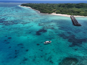 Hatoma Island Guide 2026 | Coral Gardens, Snorkeling & Freediving