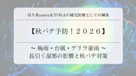 【秋バテ予防2026】夏の冷えと湿気による自律神経の乱れをリセットする東洋医学とツボケア