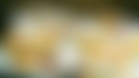 Singapore, Indonesia & Malaysia Legendary Dishes: 1 for 1 Halal Buffet