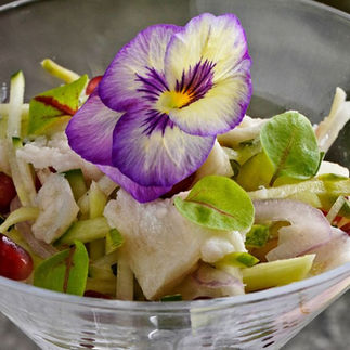 nusantara ceviche
