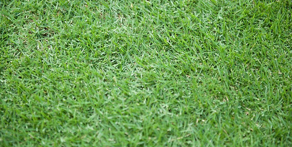 DSC_4575-Quick Preset_1280x800_0.jpg