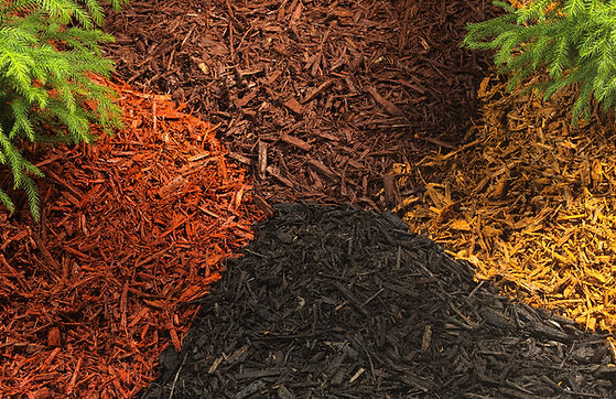 Color+Mulch.jpg
