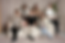 About - 1.png
