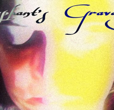 Elephant's Graveyard Films: Cecilia Condit