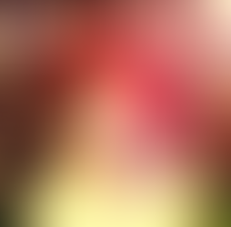 Elephant's Graveyard Tunage: SAVED!