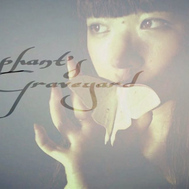 Elephant's Graveyard Tunage: Ichiko Aoba Concert 
