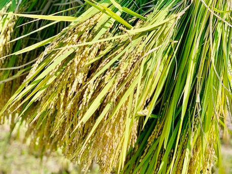 月が牡羊座にある時は…(10/10)