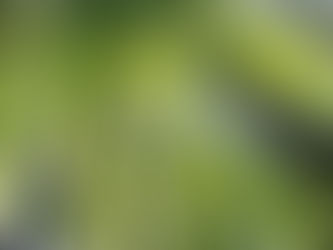 5月のメッセージ!参考にしてくださいね。