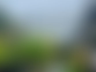 鎮魂の祈りを捧げました。