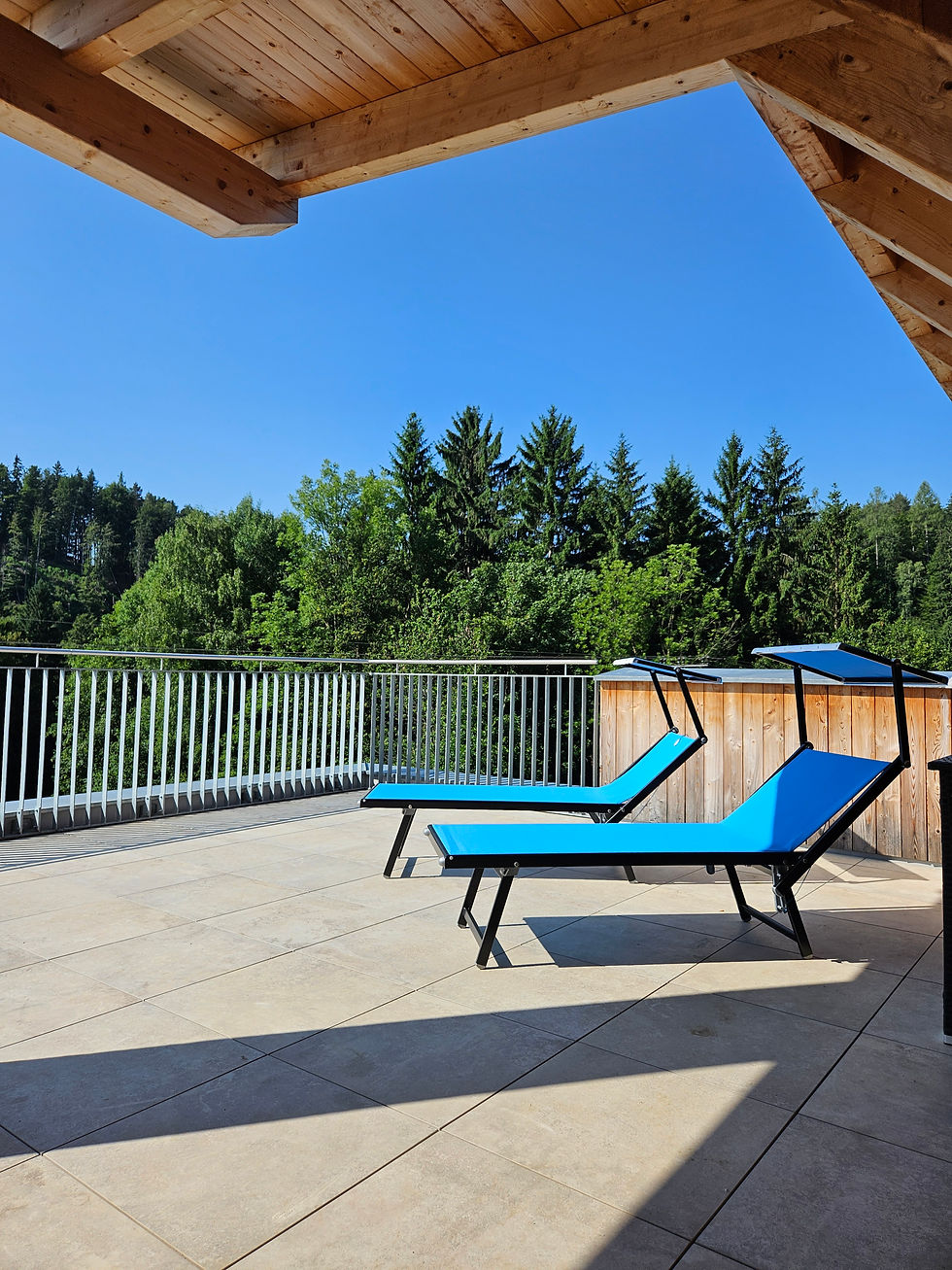 lodge10_dachterrasse_aussicht