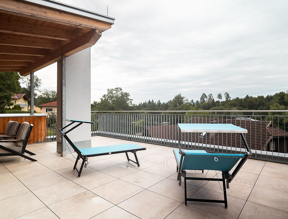 lodge5-dachterrasse1