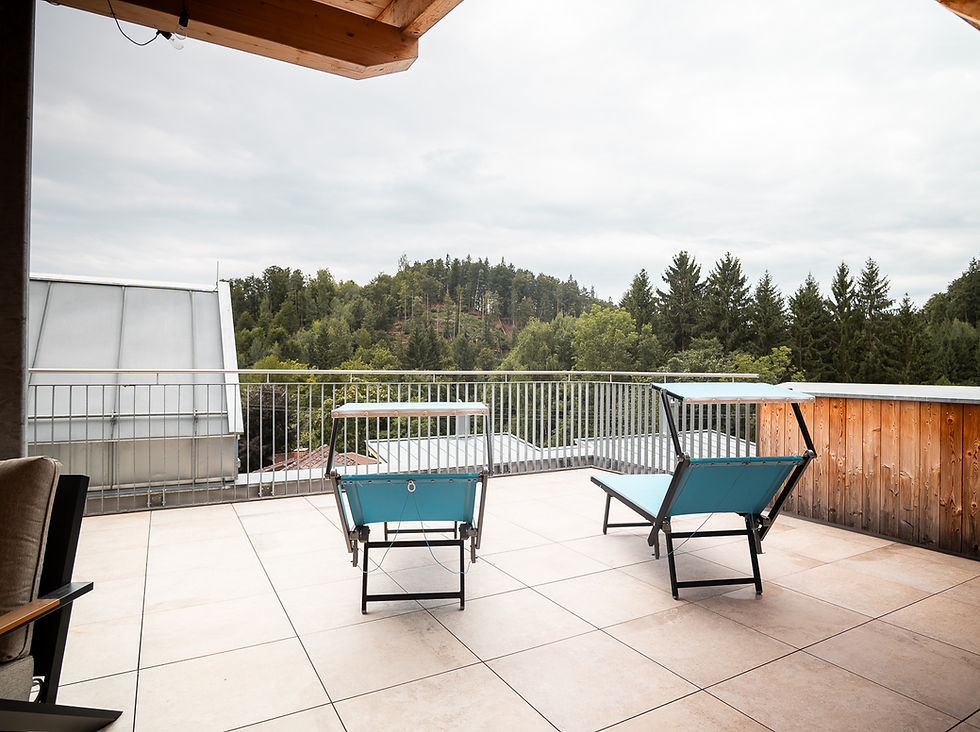lodge7-dachterrasse1