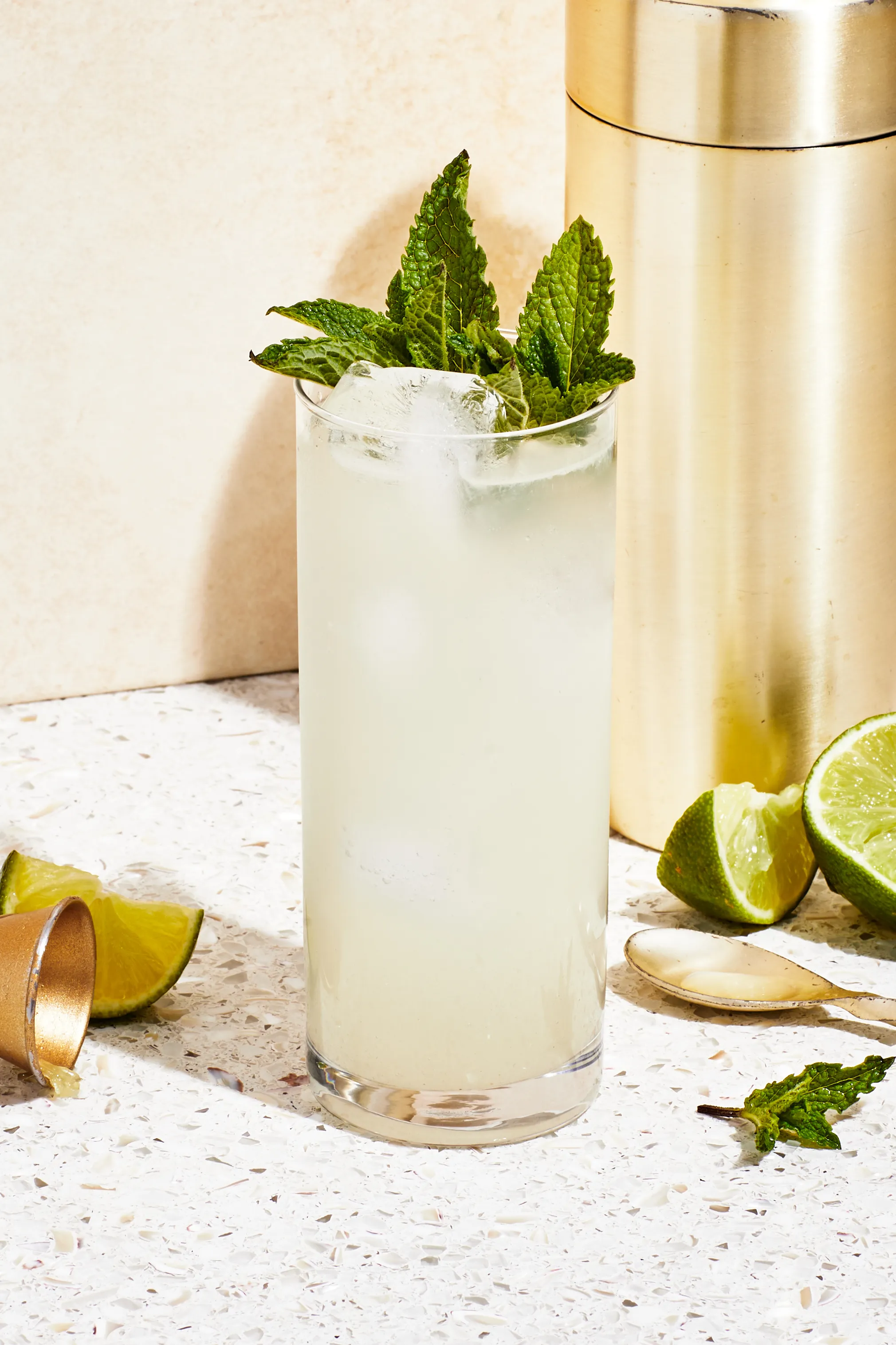 20220215 Mojito LEDE.jpg.webp