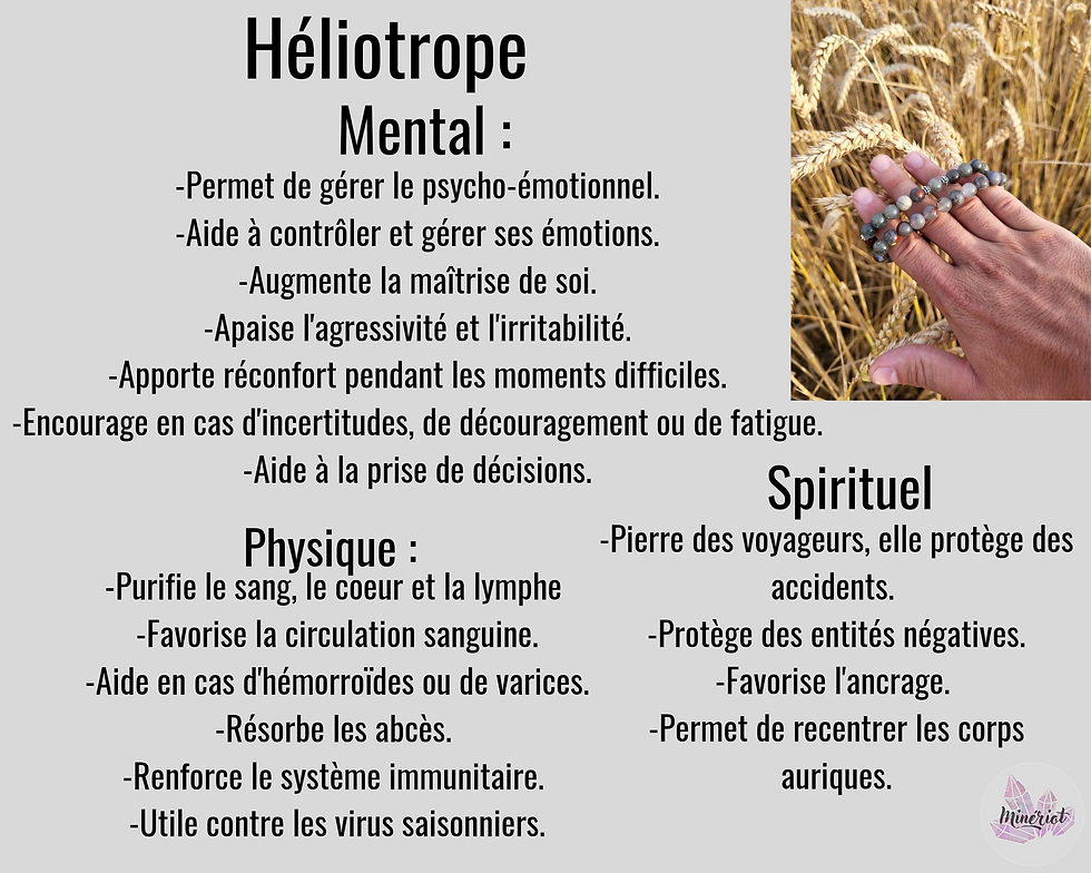 Miniature : Héliotrope 06 mm