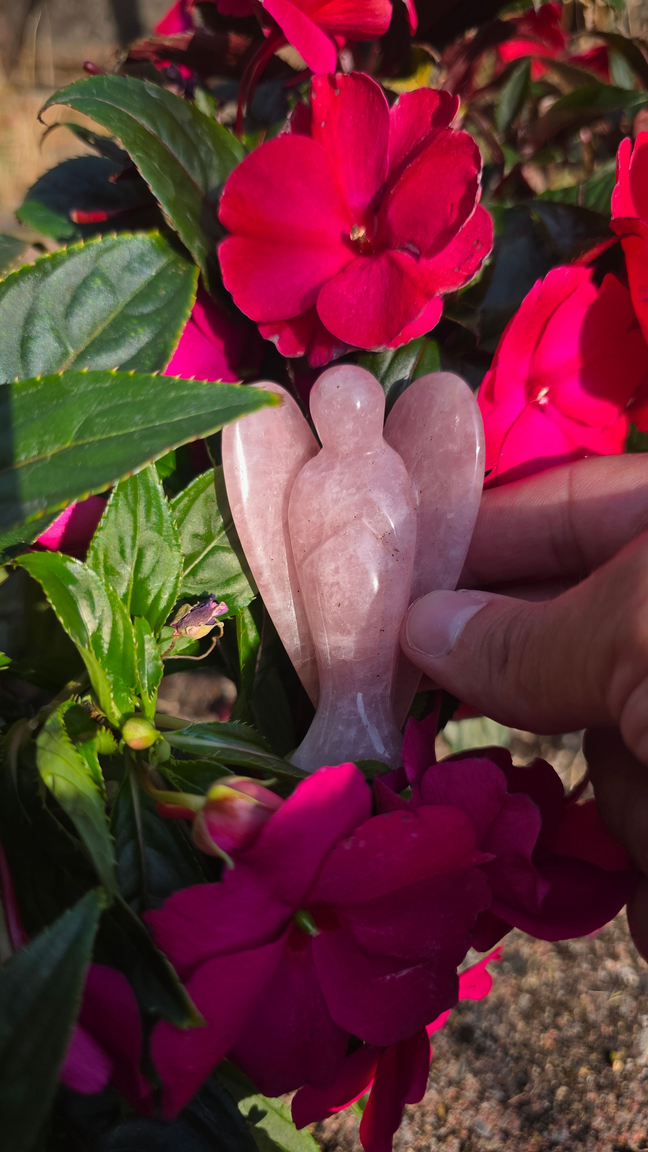 Ange Quartz Rose