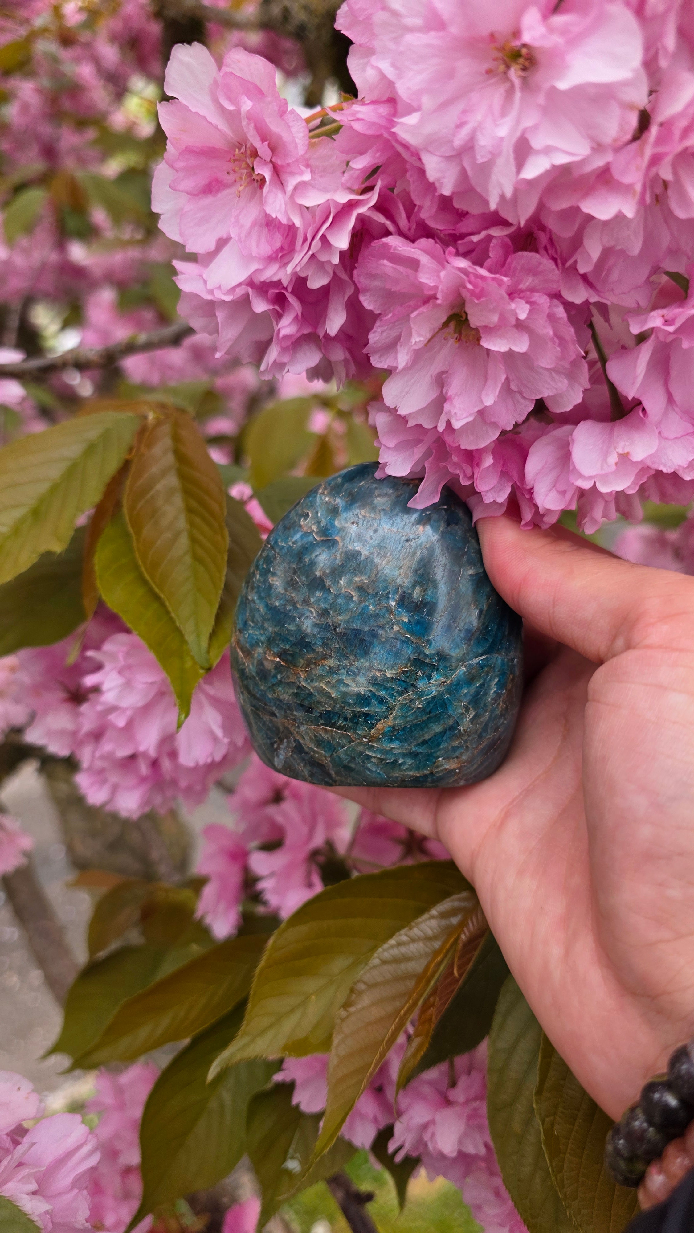 Apatite Bleue 1