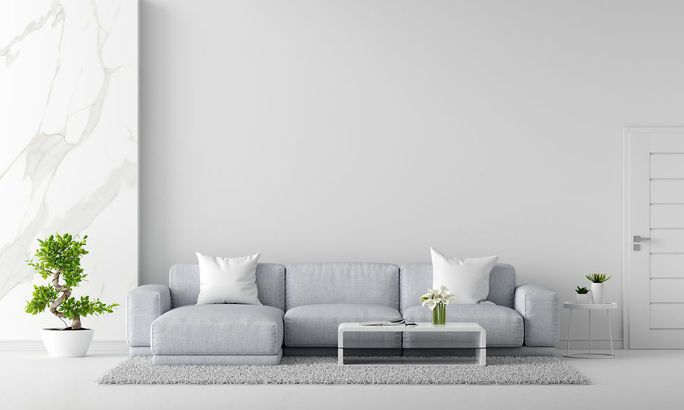 gray-sofa-white-living-room-interior-with-copy-space-3d-rendering.jpg