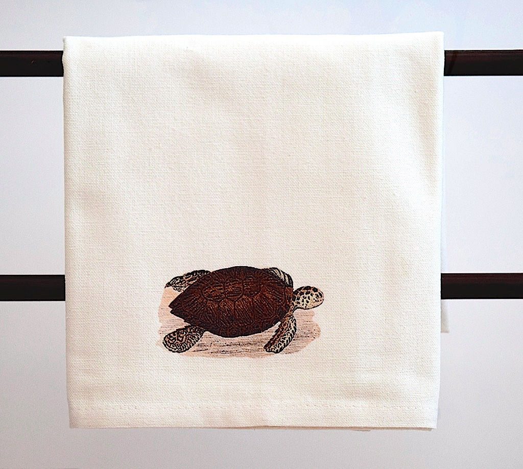 Sea Turtle