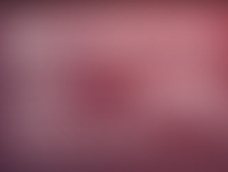 Phase 1: Safety Standard and Checklist - Industry Specific