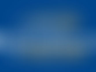 Phase 2: Cautious, Step 1 - Industry Specific Guidelines