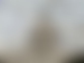 Houses Passes PPP Loan Forgiveness Bill