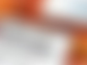 Released PPP Loan Forgiveness Application