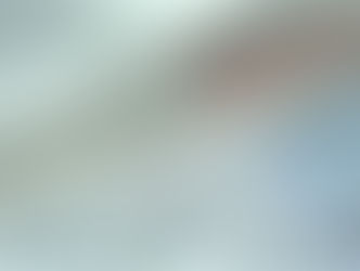 APPROVED- NEW PPP FLEXIBILITY ACT